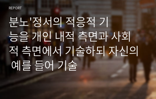 분노&#039;정서의 적응적 기능을 개인 내적 측면과 사회적 측면에서 기술하되 자신의 예를 들어 기술