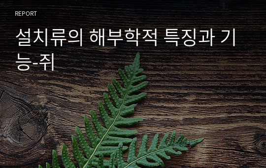 설치류의 해부학적 특징과 기능-쥐