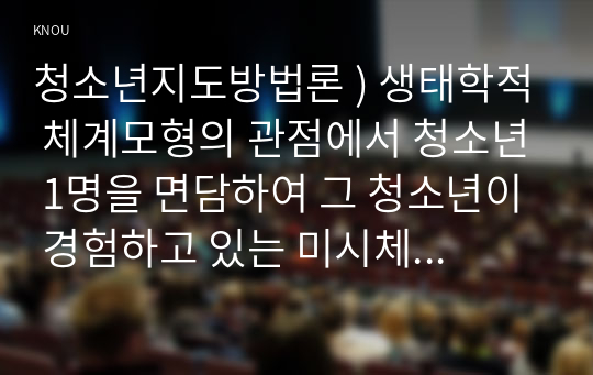 청소년지도방법론 ) 생태학적 체계모형의 관점에서 청소년 1명을 면담하여 그 청소년이 경험하고 있는 미시체계의 구체적인 요인들의 특성을 기술한 후 이 요인들이 청소년에게 미치는 영향을 분석하여 설명