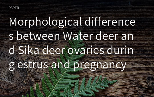 Morphological differences between Water deer and Sika deer ovaries during estrus and pregnancy