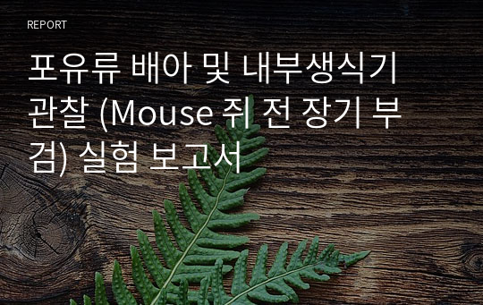 포유류 배아 및 내부생식기 관찰 (Mouse 쥐 전 장기 부검) 실험 보고서