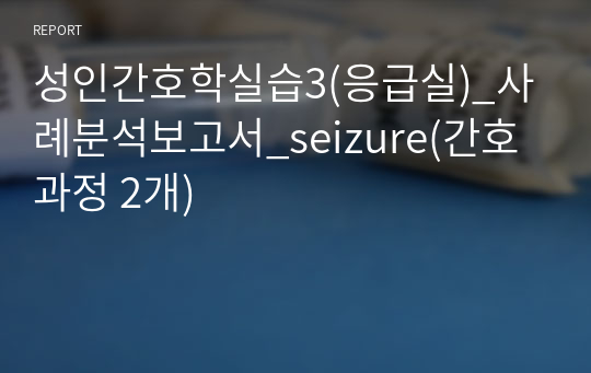 성인간호학실습3(응급실)_사례분석보고서_seizure(간호과정 2개)