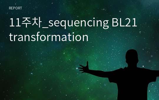 11주차_sequencing BL21 transformation