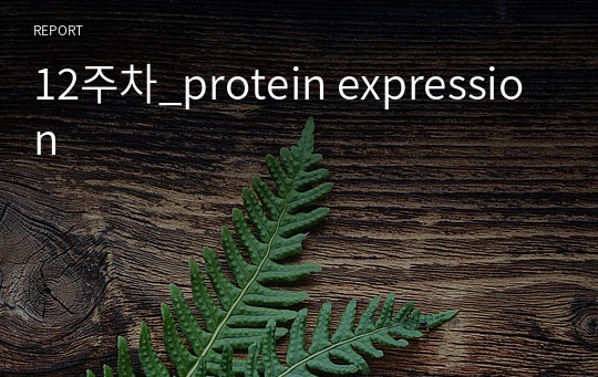 12주차_protein expression