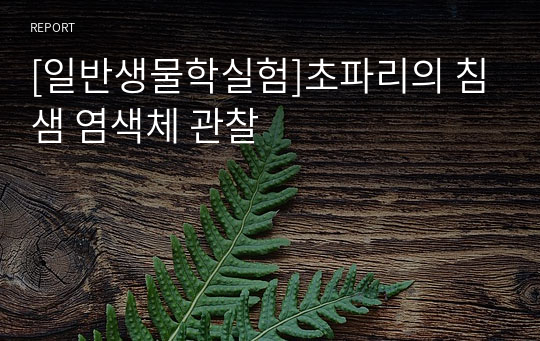 [일반생물학실험]초파리의 침샘 염색체 관찰