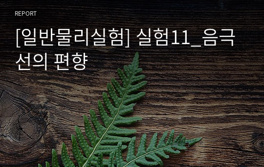 [일반물리실험] 실험11_음극선의 편향