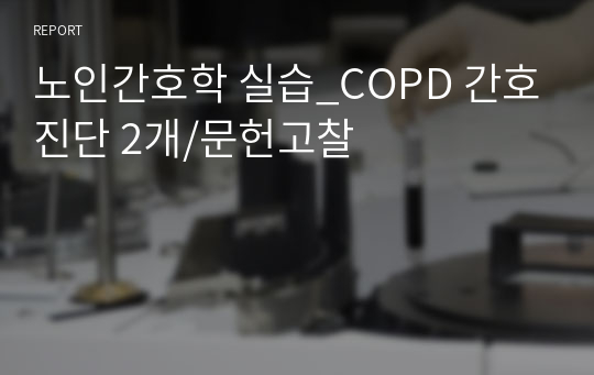 노인간호학 실습_COPD 간호진단 2개/문헌고찰