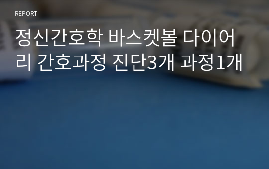 정신간호학 바스켓볼 다이어리 간호과정 진단3개 과정1개