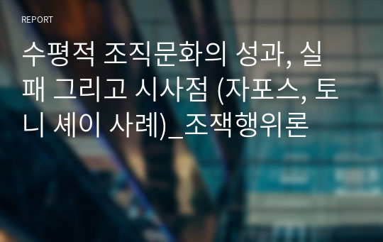 수평적 조직문화의 성과, 실패 그리고 시사점 (자포스, 토니 셰이 사례)_조잭행위론