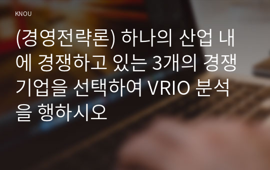 (경영전략론) 하나의 산업 내에 경쟁하고 있는 3개의 경쟁기업을 선택하여 VRIO 분석을 행하시오