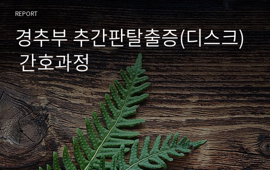 경추부 추간판탈출증(디스크) 간호과정 (문헌고찰O, 간호과정 3개)