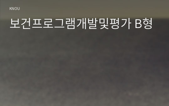 보건프로그램개발및평가 B형