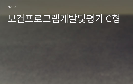 보건프로그램개발및평가 C형