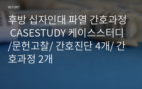 후방 십자인대 파열 간호과정 CASESTUDY 케이스스터디 /문헌고찰/ 간호진단 4개/ 간호과정 2개