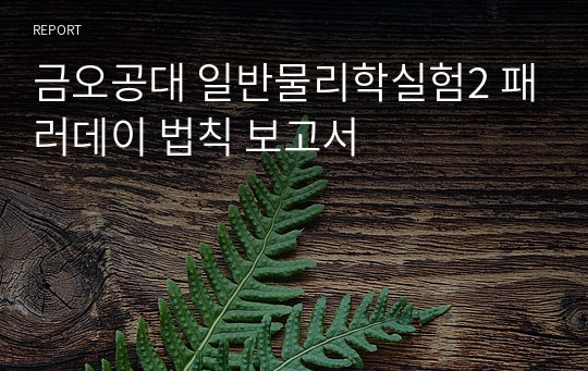 금오공대 일반물리학실험2 패러데이 법칙 보고서