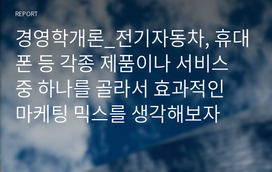 경영학개론_전기자동차, 휴대폰 등 각종 제품이나 서비스 중 하나를 골라서 효과적인 마케팅 믹스를 생각해보자