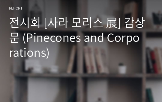 전시회 [사라 모리스 展] 감상문 (Pinecones and Corporations)