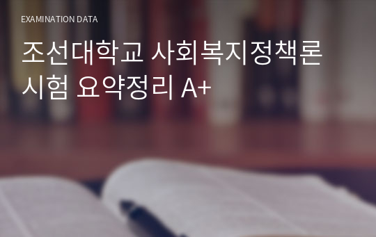 조선대학교 사회복지정책론 시험 요약정리 A+