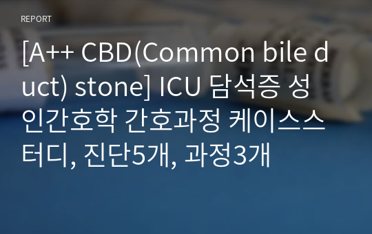 [A++ CBD(Common bile duct) stone] ICU 담석증 성인간호학 간호과정 케이스스터디, 진단5개, 과정3개