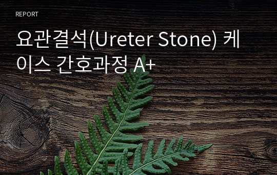 요관결석(Ureter Stone) 케이스 간호과정 A+