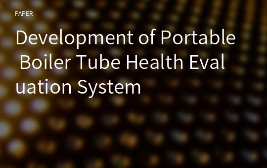 Development of Portable Boiler Tube Health Evaluation System
