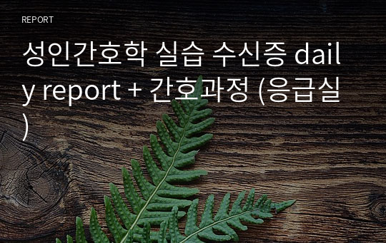 성인간호학 실습 수신증 daily report + 간호과정 (응급실)