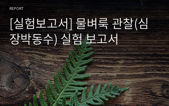 [실험보고서] 물벼룩 관찰(심장박동수) 실험 보고서