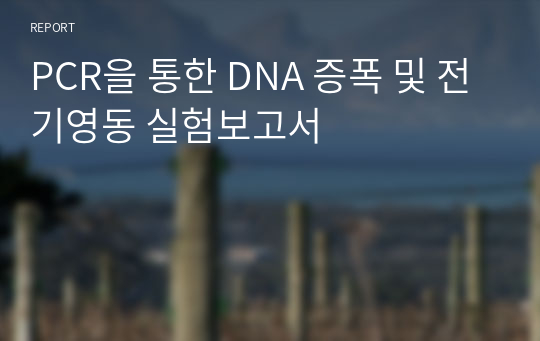 PCR을 통한 DNA 증폭 및 전기영동 실험보고서