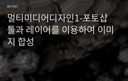 멀티미디어디자인1-포토샵 툴과 레이어를 이용하여 이미지 합성