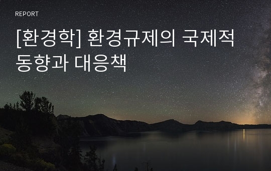 [환경학] 환경규제의 국제적 동향과 대응책