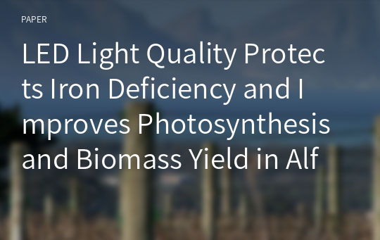 LED Light Quality Protects Iron Deficiency and Improves Photosynthesis and Biomass Yield in Alfalfa (Medicago sativa L.)