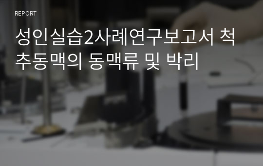 성인실습2사례연구보고서 척추동맥의 동맥류 및 박리