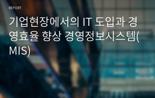 기업현장에서의 IT 도입과 경영효율 향상 경영정보시스템(MIS)