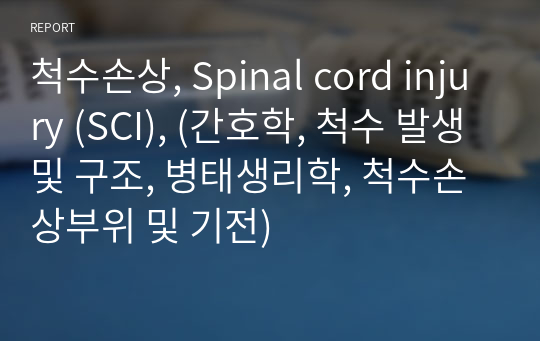 척수손상, Spinal cord injury (SCI), (간호학, 척수 발생및 구조, 병태생리학, 척수손상부위 및 기전)