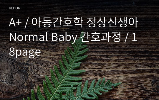 A+ / 아동간호학 정상신생아 Normal Baby 간호과정 / 18page