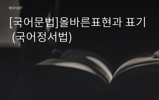 [국어문법]올바른표현과 표기 (국어정서법)