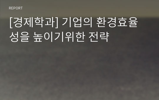 [경제학과] 기업의 환경효율성을 높이기위한 전략