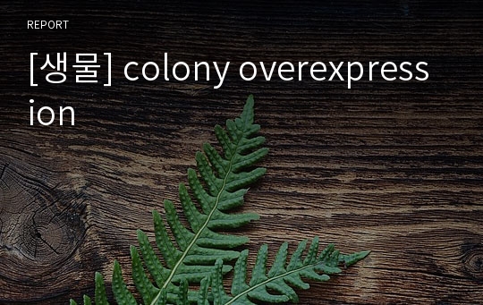 [생물] colony overexpression