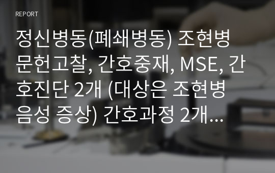 정신병동(폐쇄병동) 조현병 문헌고찰, 간호중재, MSE, 간호진단 2개 (대상은 조현병 음성 증상) 간호과정 2개 포함