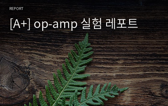 [A+] op-amp 실험 레포트