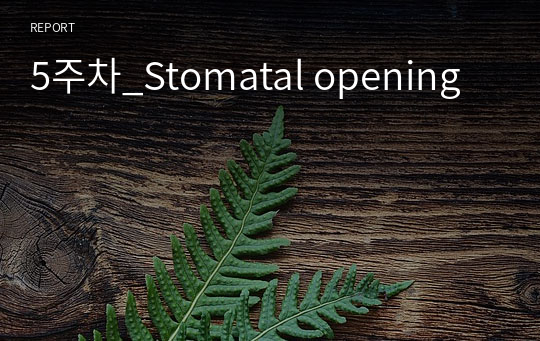 5주차_Stomatal opening
