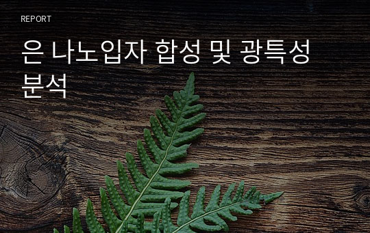 은 나노입자 합성 및 광특성 분석