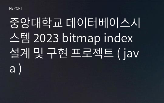 중앙대학교 데이터베이스시스템 2023 bitmap index 설계 및 구현 프로젝트 ( java )