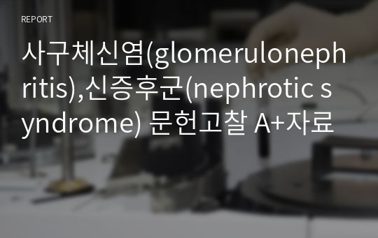 사구체신염(glomerulonephritis),신증후군(nephrotic syndrome) 문헌고찰 A+자료