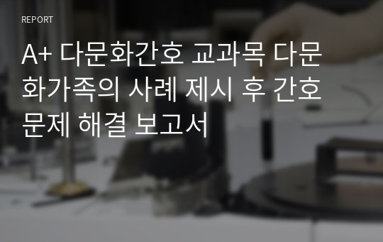 A+ 다문화간호 교과목 다문화가족의 사례 제시 후 간호문제 해결 보고서