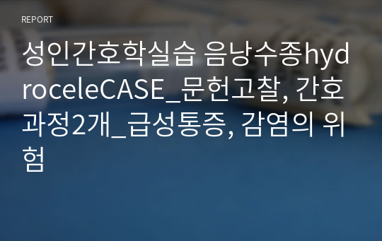 성인간호학실습 음낭수종hydroceleCASE_문헌고찰, 간호과정2개_급성통증, 감염의 위험