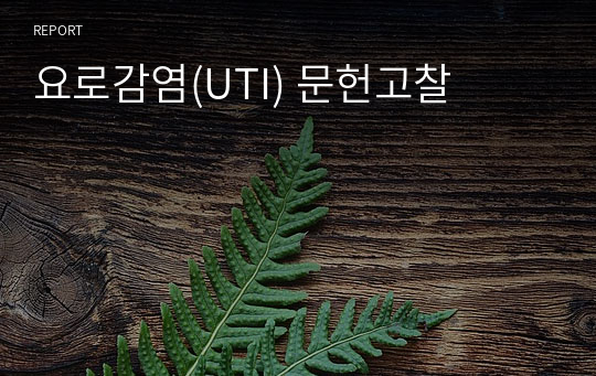 요로감염(UTI) 문헌고찰