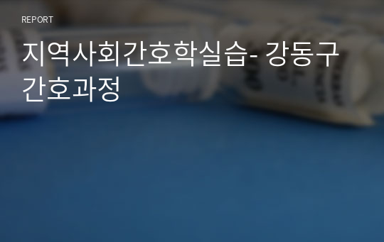 지역사회간호학실습- 강동구간호과정