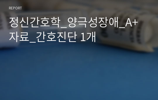 정신간호학_양극성장애_A+자료_간호진단 1개