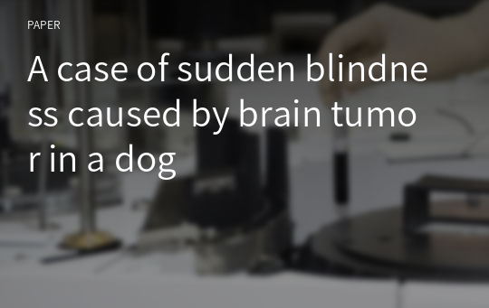 A case of sudden blindness caused by brain tumor in a dog